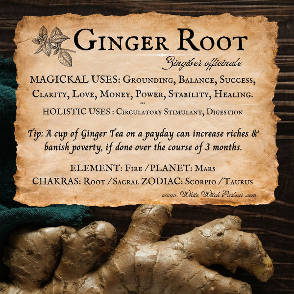 GINGER ROOT Dried Herb Zingiber Officinale. For Grounding, Balance & Success.