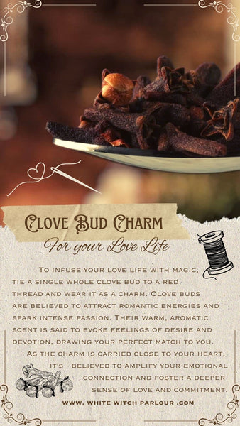 "Clove Bud : Protection Spell " Book of Shadows Page. Instant Digital Download by The White Witch Parlour