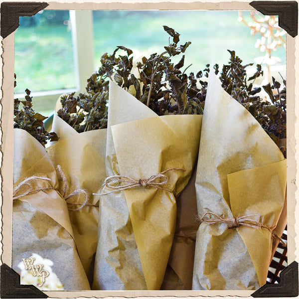 LEMONBALM DRIED HERB BUNDLE For Decor, SpellWork & Healing.