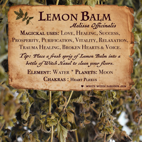 LEMONBALM DRIED HERB BUNDLE For Decor, SpellWork & Healing.