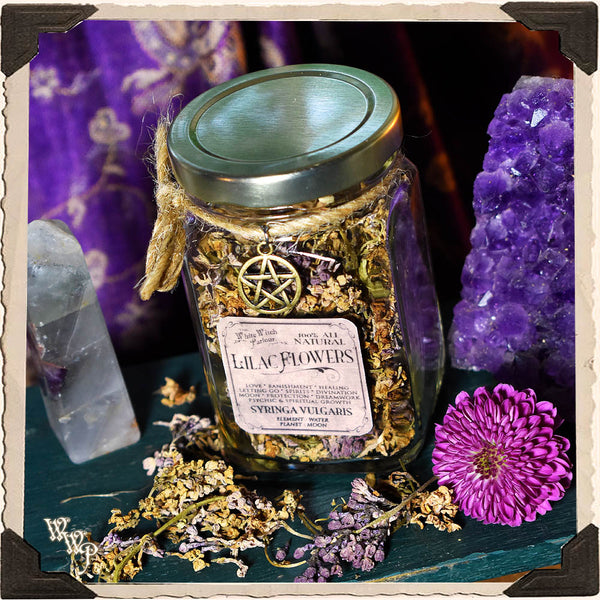 LILAC FLOWER APOTHECARY. Dried Herbs. For Psychic Awareness, Spirits, Mourning & Letting Go. White Witch Parlour