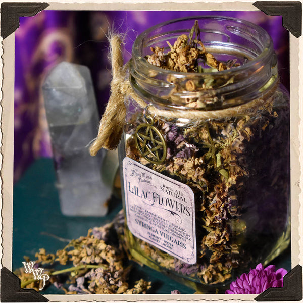 LILAC FLOWER APOTHECARY. Dried Herbs. For Psychic Awareness, Spirits, Mourning & Letting Go. White Witch Parlour