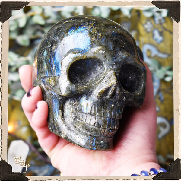 LIMITED EDITION: LABRADORITE CRYSTAL SKULL . For Moon Healing, Spiritual Strength & Psychic Enhancement. White Witch Parlour