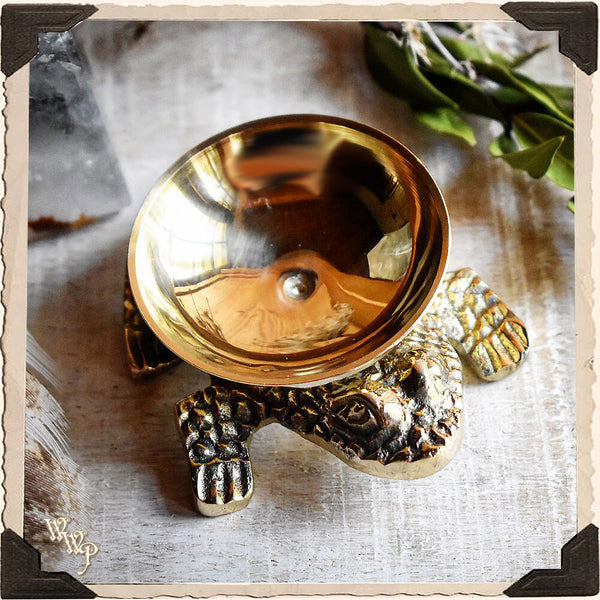 BRASS FROG. Altar Decor For Luck, Fertility, Transformation & Purity. White Witch Parlour
