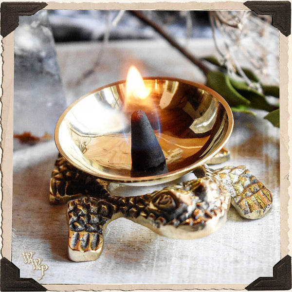 BRASS FROG. Altar Decor For Luck, Fertility, Transformation & Purity. White Witch Parlour