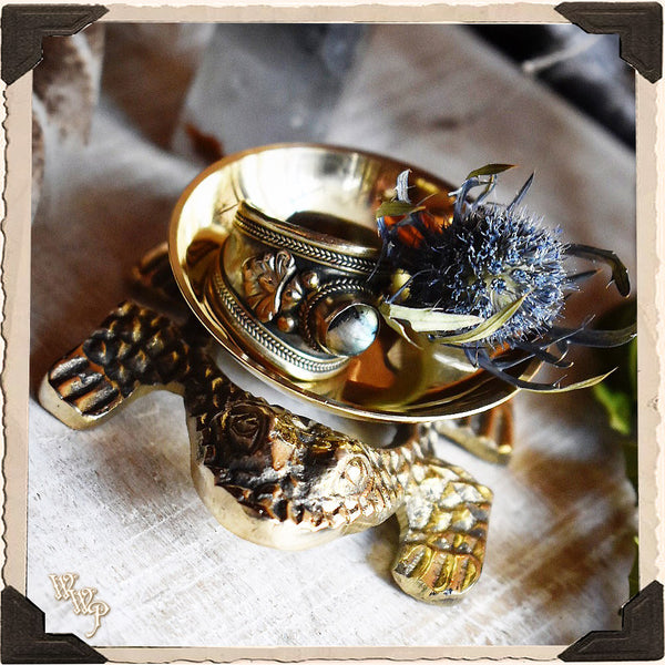 BRASS FROG. Altar Decor For Luck, Fertility, Transformation & Purity. White Witch Parlour