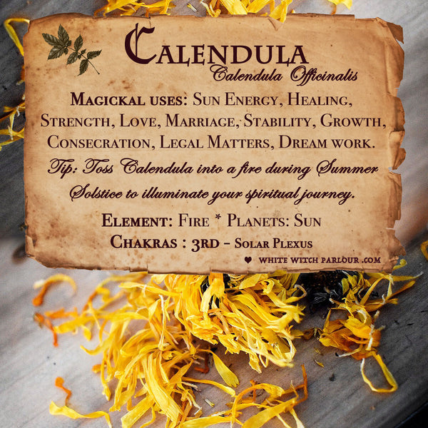 CALENDULA APOTHECARY. Calendula Officinalis Dried Herbs. For Sun Energy, Healing & Strength White Witch Parlour