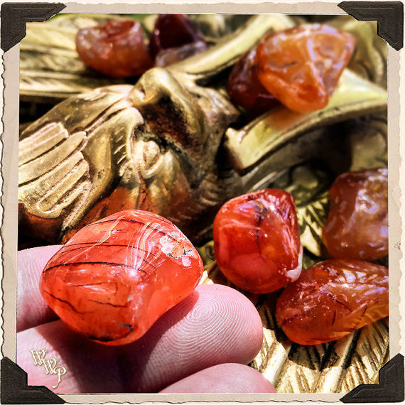 CARNELIAN TUMBLED CRYSTAL. For Positive Energy, Motivation & Courage. White Witch Parlour