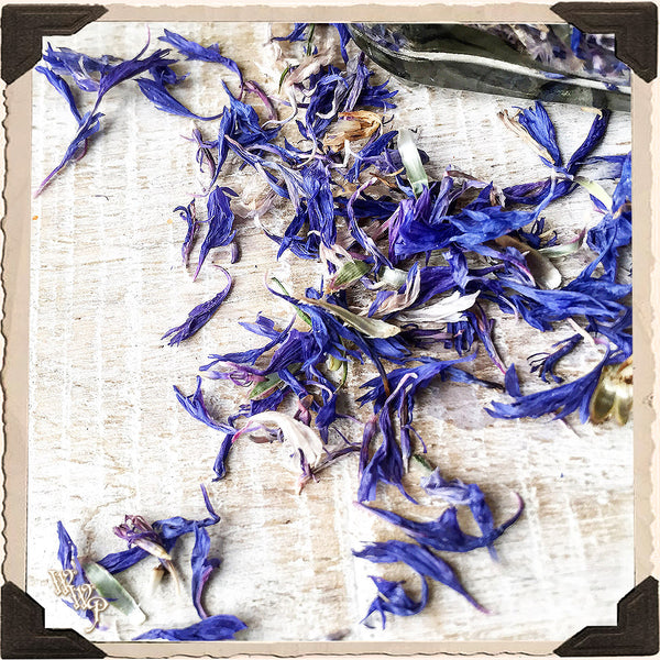 CORNFLOWER APOTHECARY. Dried Herbs. For Psychic Awareness, Self Knowledge, Ritual. White Witch Parlour