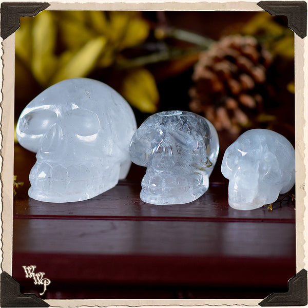 CLEAR QUARTZ CRYSTAL SKULL. For Wisdom, Psychic Clarity & Spiritual Growth. White Witch Parlour