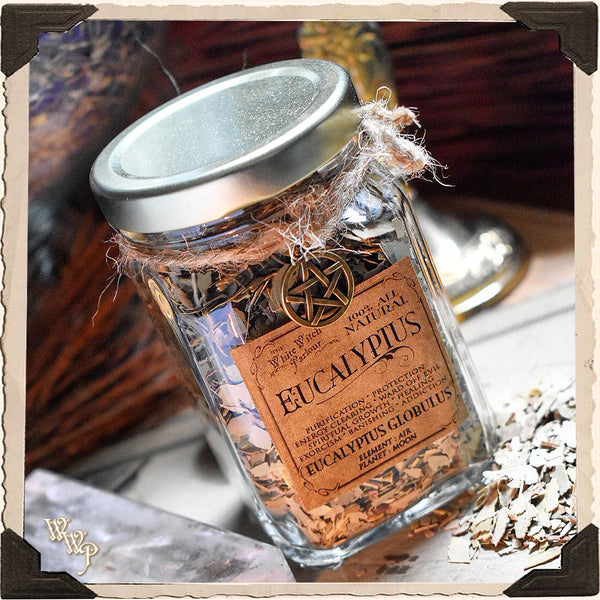 EUCALYPTUS LEAVES APOTHECARY. Dried Herbs. For Purification, Healing & Protection. White Witch Parlour