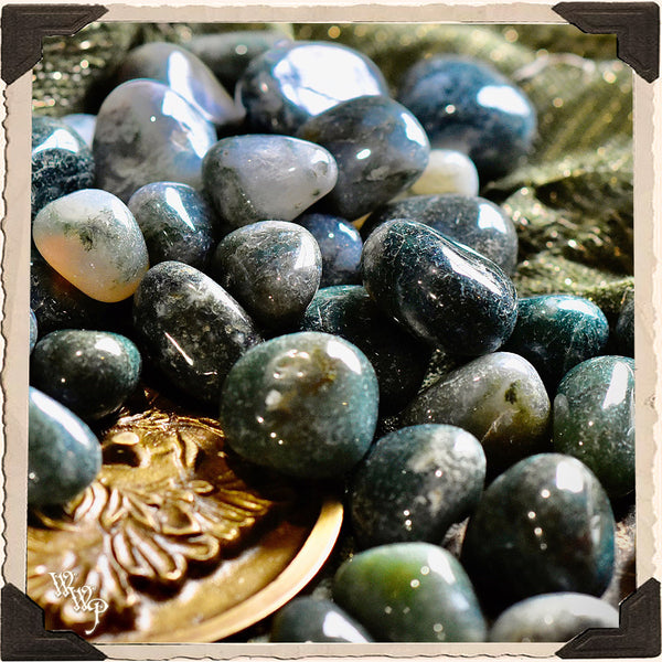 GREEN MOSS AGATE TUMBLED CRYSTAL. For Abundance, Grounding & Healing. White Witch Parlour