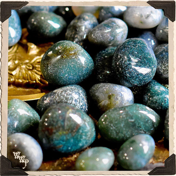 GREEN MOSS AGATE TUMBLED CRYSTAL. For Abundance, Grounding & Healing. White Witch Parlour
