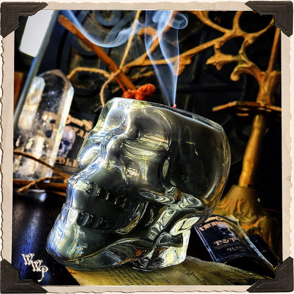 IMMORTAL Apothecary SKULL CANDLE 6oz. All Natural. Scent of Patchouli, Clove & Cinnamon. Blessed by Tiger's Eye, Moonstone & Amethyst Crystals. White Witch Parlour