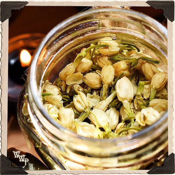 JASMINE FLOWER APOTHERCARY. Dried Herb For Love, Meditation & Enlightenment. White Witch Parlour