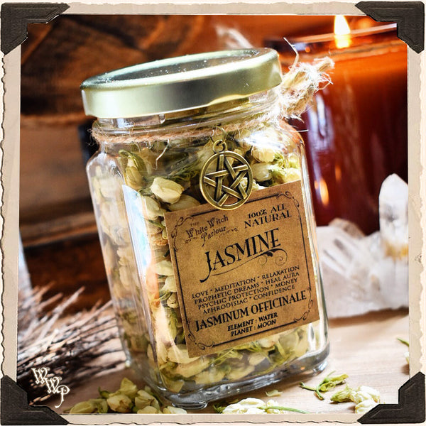 JASMINE FLOWER APOTHERCARY. Dried Herb For Love, Meditation & Enlightenment. White Witch Parlour