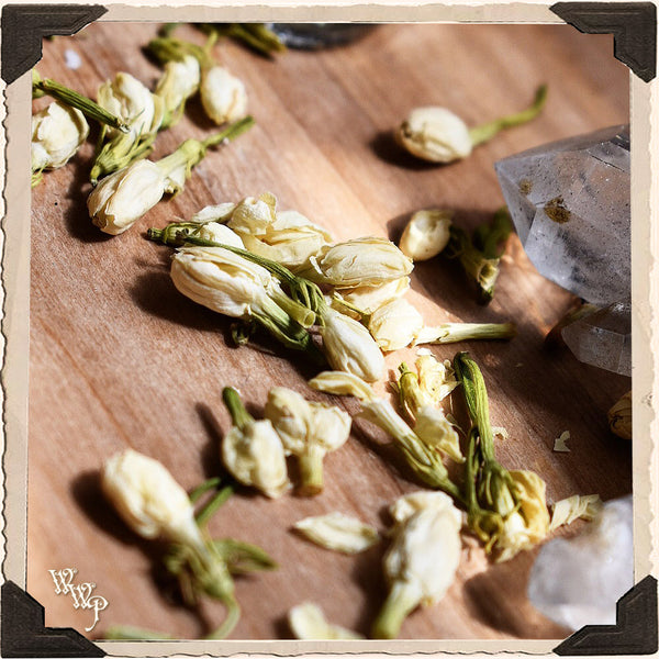 JASMINE FLOWER APOTHERCARY. Dried Herb For Love, Meditation & Enlightenment. White Witch Parlour