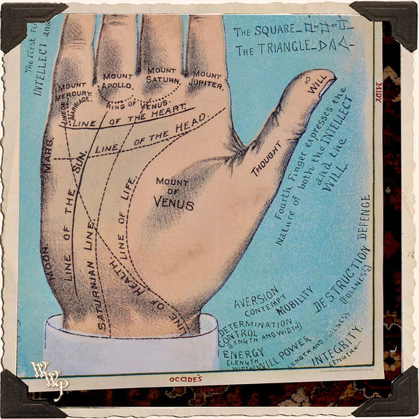 DISCONTINUED: ' PALMISTRY ' PALM READER POSTER. Vintage Style Print For Sacred Space Decor White Witch Parlour