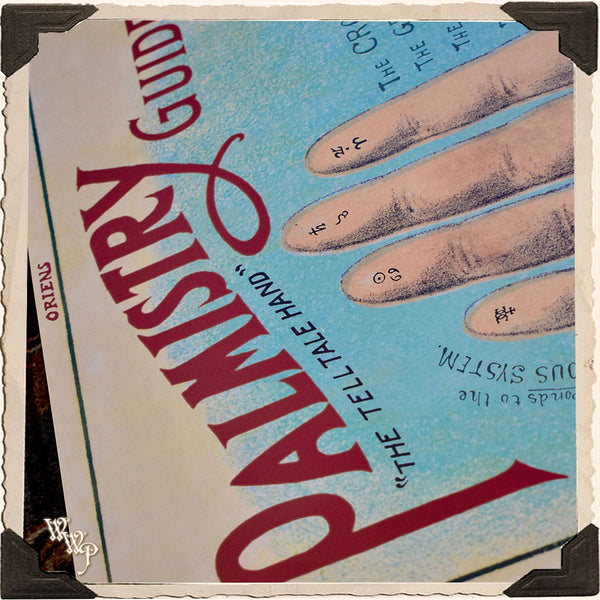 DISCONTINUED: ' PALMISTRY ' PALM READER POSTER. Vintage Style Print For Sacred Space Decor White Witch Parlour