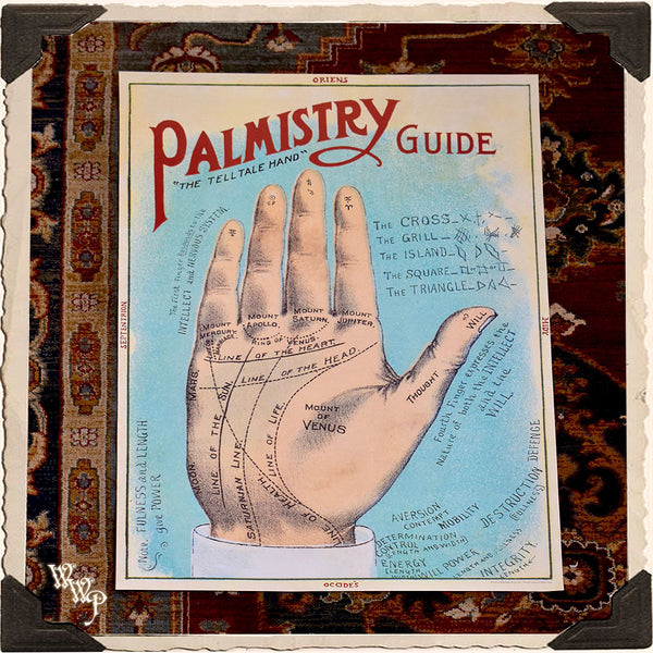 DISCONTINUED: ' PALMISTRY ' PALM READER POSTER. Vintage Style Print For Sacred Space Decor White Witch Parlour