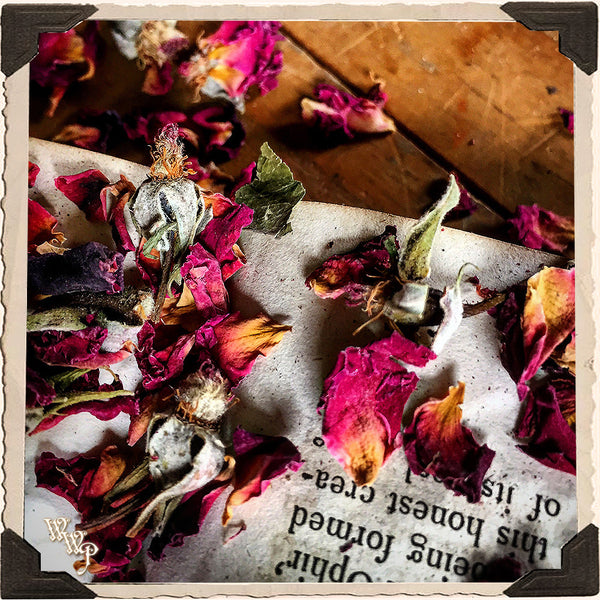 RED ROSE BUDS APOTHECARY. Dried Herbs. For Love, Trust & Innocence. White Witch Parlour