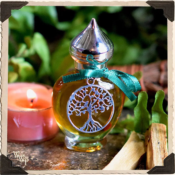 ANCIENT ROOTS All Natural Alchemy Oil 1/3oz. Blessed by Green Aventurine & Red Jasper Crystals. For Spiritual Connection to Earth. White Witch Parlour