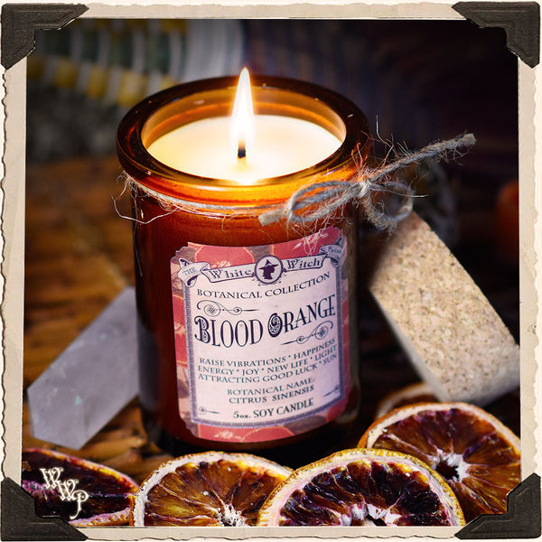 BLOOD ORANGE CANDLE APOTHECARY 5oz. For Sun Magick, Cheer & Renewal. White Witch Parlour