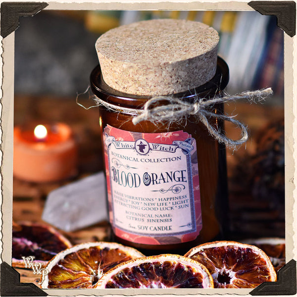 BLOOD ORANGE CANDLE APOTHECARY 5oz. For Sun Magick, Cheer & Renewal. White Witch Parlour