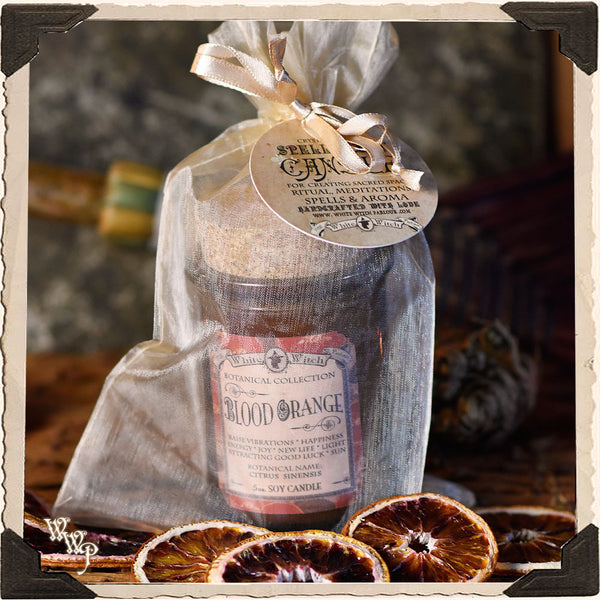 BLOOD ORANGE CANDLE APOTHECARY 5oz. For Sun Magick, Cheer & Renewal. White Witch Parlour