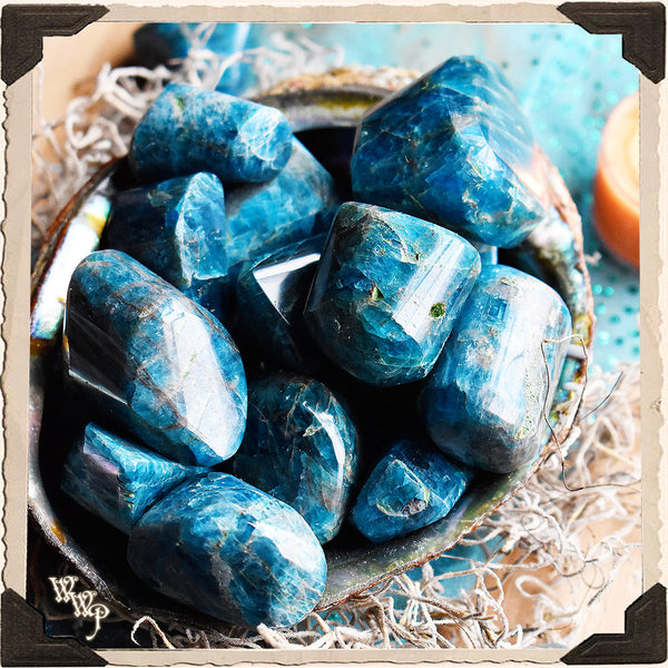 Blue Apatite Tumbled Crystal. For Speaking Your Truth & Manifestation. White Witch Parlour