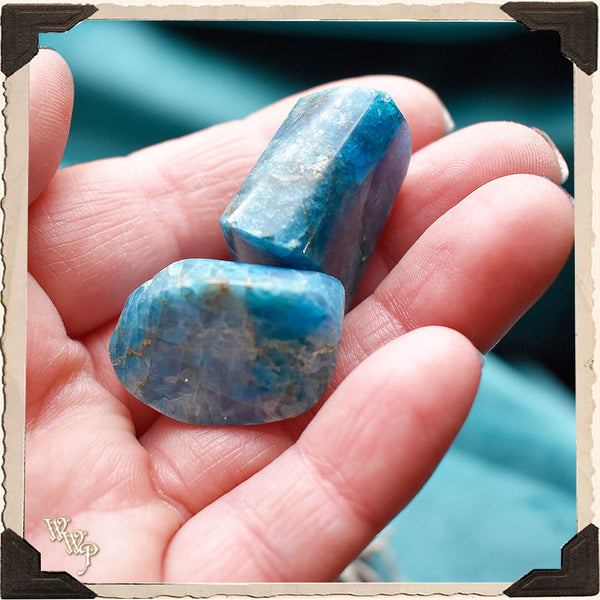 Blue Apatite Tumbled Crystal. For Speaking Your Truth & Manifestation. White Witch Parlour