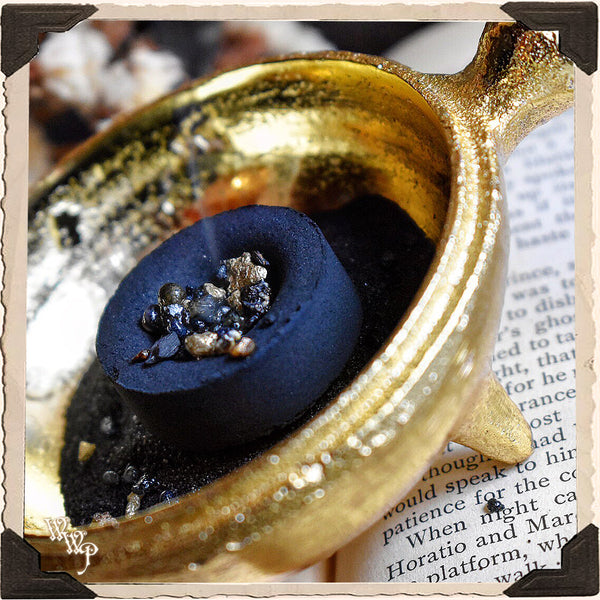 BRASS TURTLE. Altar Decor For Earth Connection, Slowing down & Determination. White Witch Parlour