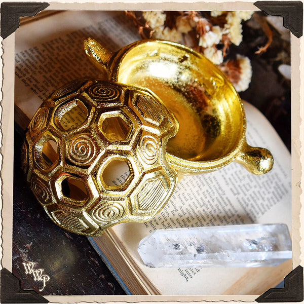 BRASS TURTLE. Altar Decor For Earth Connection, Slowing down & Determination. White Witch Parlour