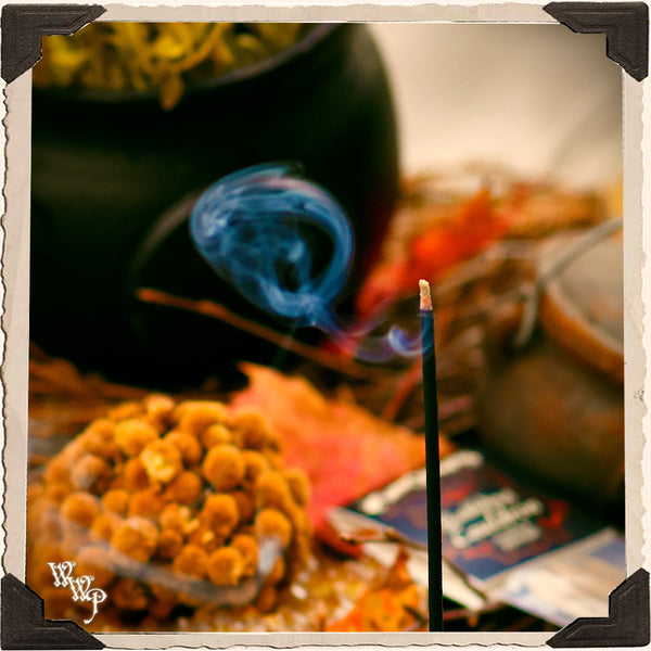 BUBBLING CAULDRON INCENSE . 20 Stick Pack. For Manifestation, Divination & Samhain Protection. White Witch Parlour