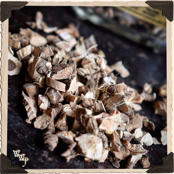 CALAMUS ROOT Dried Herb Acorus Calamus. For Dominance, Control, Balance & Black Magick. White Witch Parlour