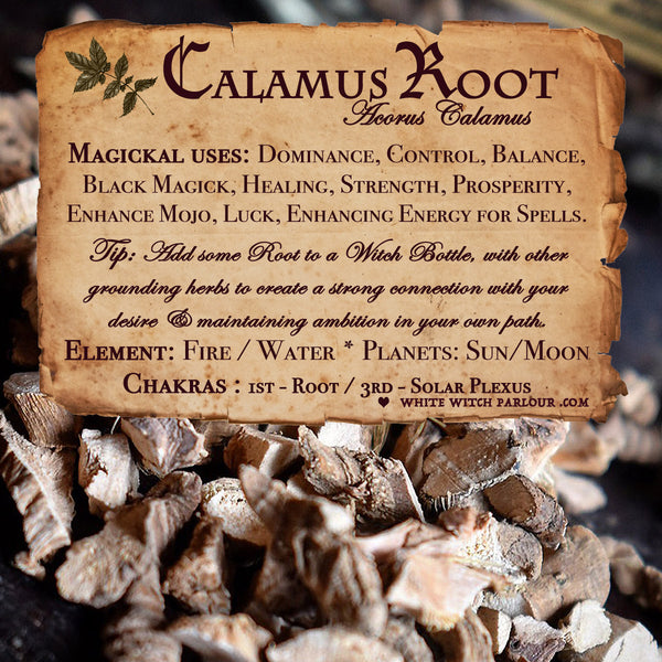 CALAMUS ROOT Dried Herb Acorus Calamus. For Dominance, Control, Balance & Black Magick.