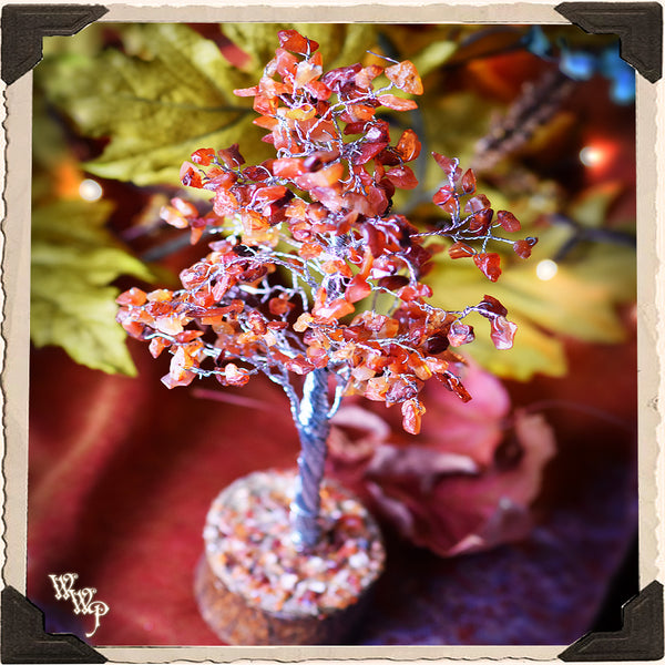 CARNELIAN CRYSTAL TREE. For Positive Energy, Motivation & Courage. Autumn Decor. White Witch Parlour