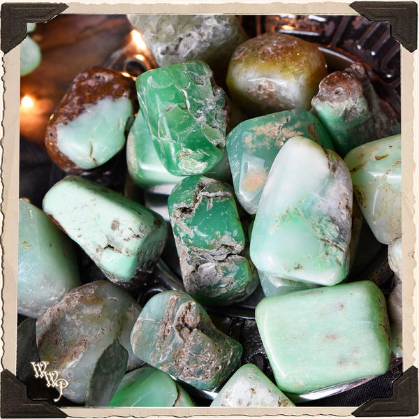 CHRYSOPRASE TUMBLED CRYSTAL. For Good Fortune, Momentum & Colorful Energy.