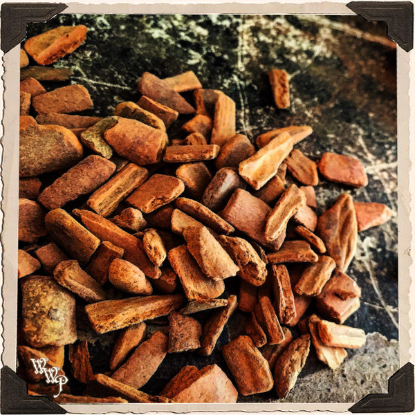 CINNAMON CHIPS APOTHECARY. Dried Herbs. For Prosperity, Money Drawing & Strength. White Witch Parlour