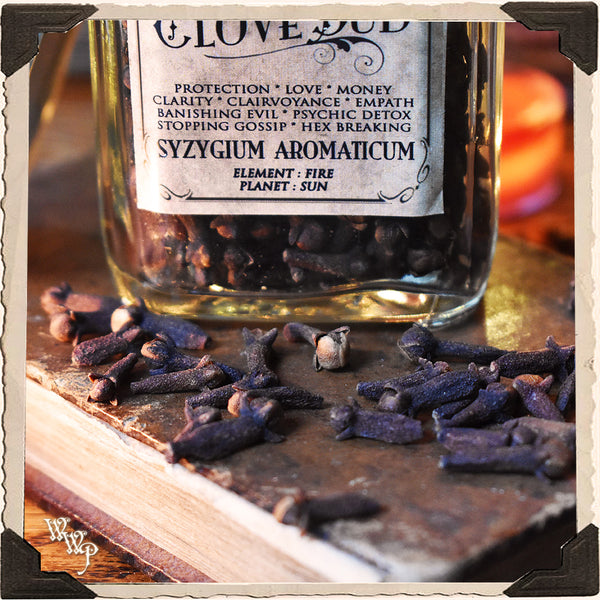 CLOVE BUD APOTHECARY. Dried Herbs. For Stopping Gossip, Protection & Power. White Witch Parlour