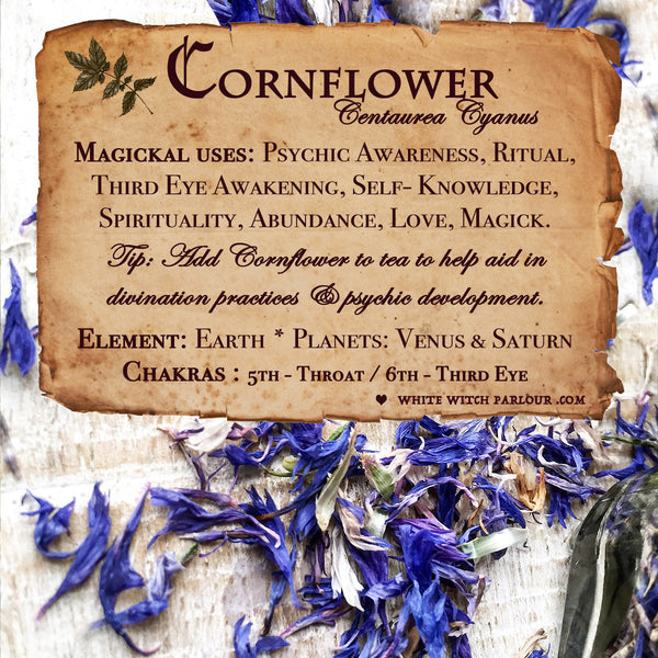 CORNFLOWER APOTHECARY. Dried Herbs. For Psychic Awareness, Self Knowledge, Ritual. White Witch Parlour