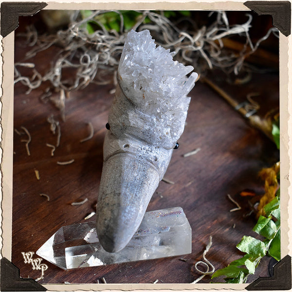 GOSHAWK CLEAR QUARTZ Cluster Animal Totem. For Energy Amplification, Bravery & Spiritual Awareness. White Witch Parlour