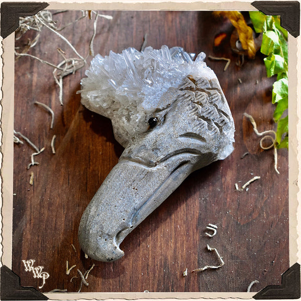 GOSHAWK CLEAR QUARTZ Cluster Animal Totem. For Energy Amplification, Bravery & Spiritual Awareness. White Witch Parlour
