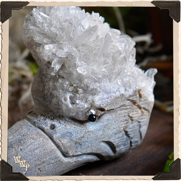 GOSHAWK CLEAR QUARTZ Cluster Animal Totem. For Energy Amplification, Bravery & Spiritual Awareness. White Witch Parlour