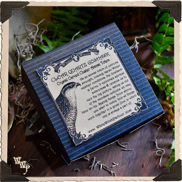 GOSHAWK CLEAR QUARTZ Cluster Animal Totem. For Energy Amplification, Bravery & Spiritual Awareness. White Witch Parlour