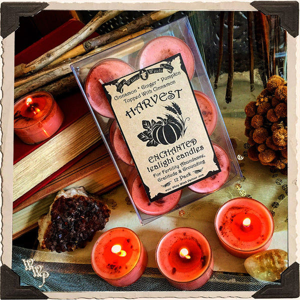 HARVEST TEALIGHT CANDLES. 12 Pack. For Fertility Abundance, Gratitude & Grounding. White Witch Parlour