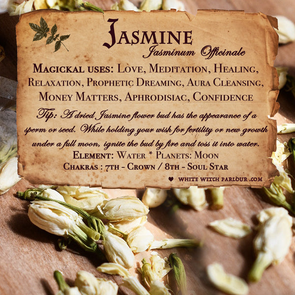 JASMINE FLOWER APOTHERCARY. Dried Herb For Love, Meditation & Enlightenment. White Witch Parlour