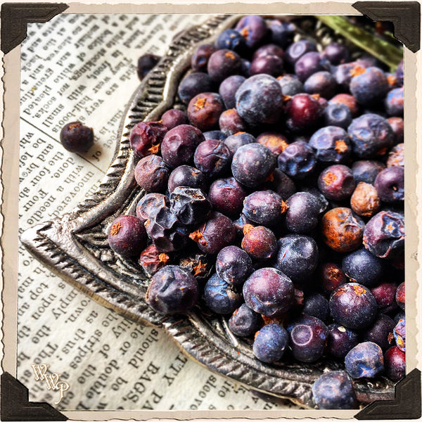 JUNIPER BERRY APOTHECARY. Dried Herbs. For Good Health, Protection & Spirit Communication. White Witch Parlour