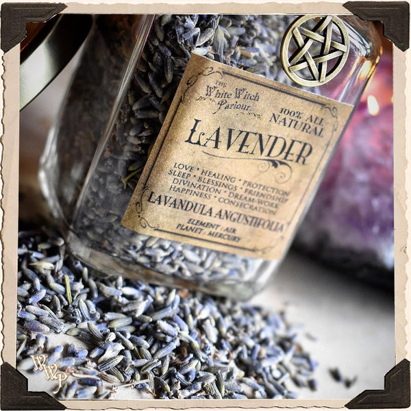 LAVENDER BUDS APOTHECARY. Dried Herbs. For Relaxation, Divination, Meditation & Sleep. White Witch Parlour