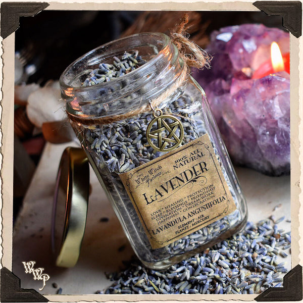 Glass jar of dry lavender flowers for making herbal tea, bunches of dry  lavender. Jars of different dry medicinal herbs on table. Alternative  medicine Stock Photo - Alamy